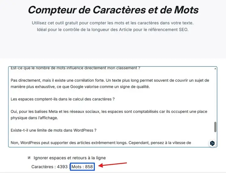 Interface du compteur de mots et caractères pour rédaction SEO